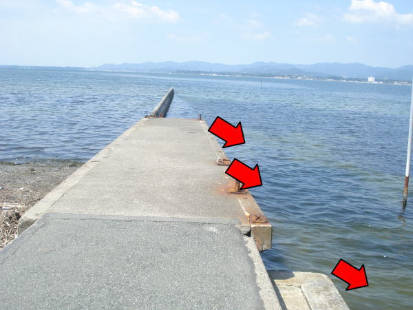 見えるぞ 私にもハゼが見える 浜名湖で確実に ハゼ を釣るサイトフィッシングの方法